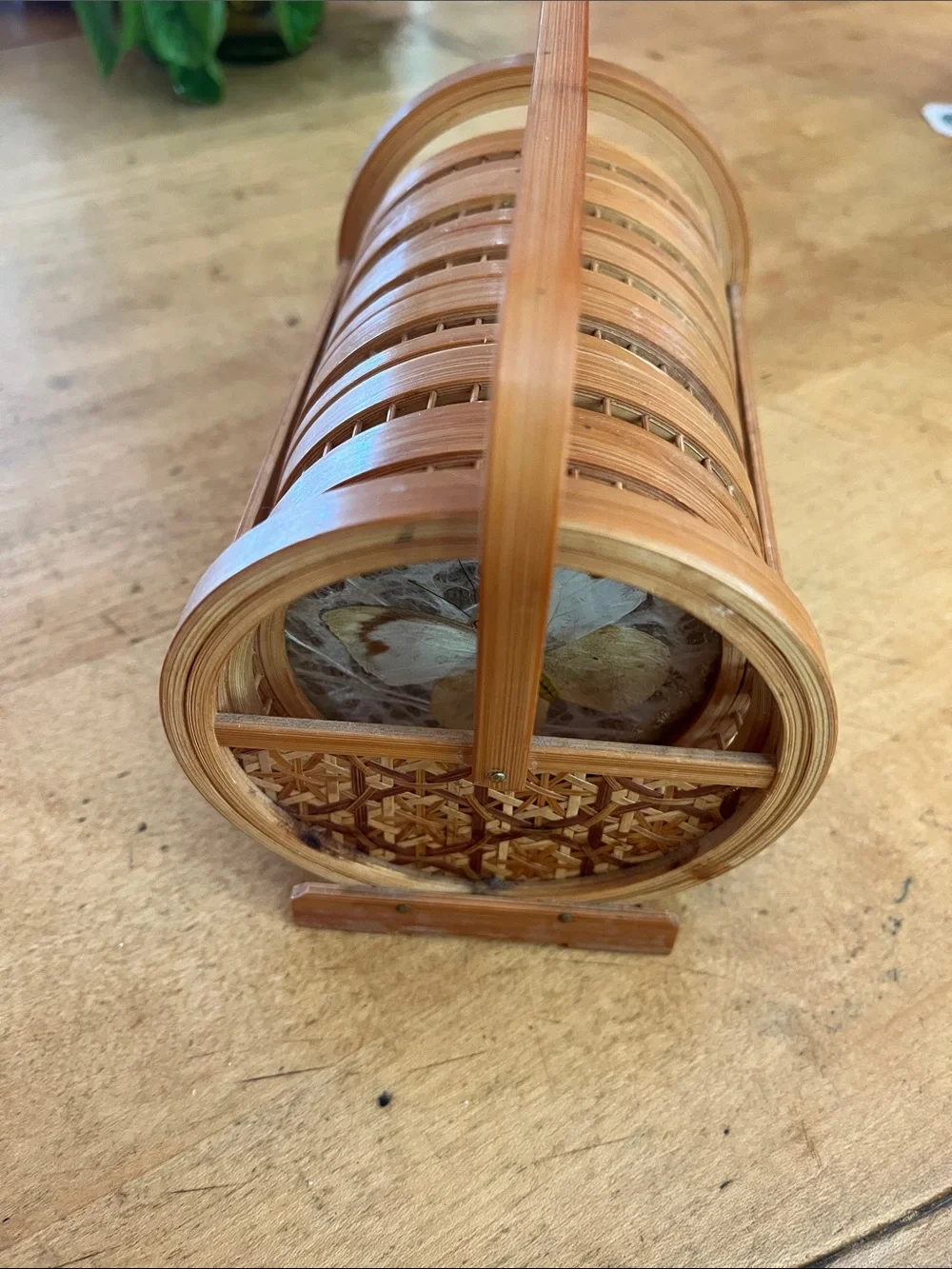 Vintage 1960s Retro Bamboo Butterfly Coaster Set six